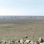 Friedrichskoog-strandpark 22