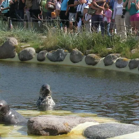 Friedrichskoog-strandpark 22